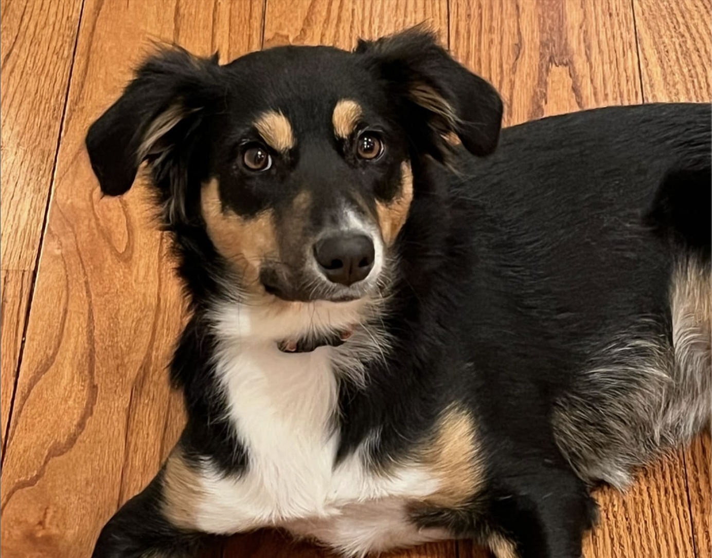 Hazel!