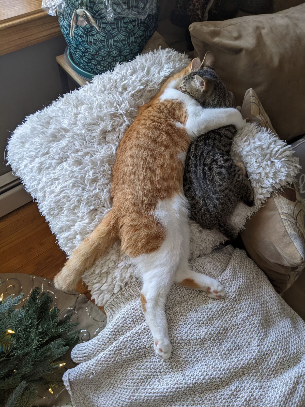 Rusty and Robo!