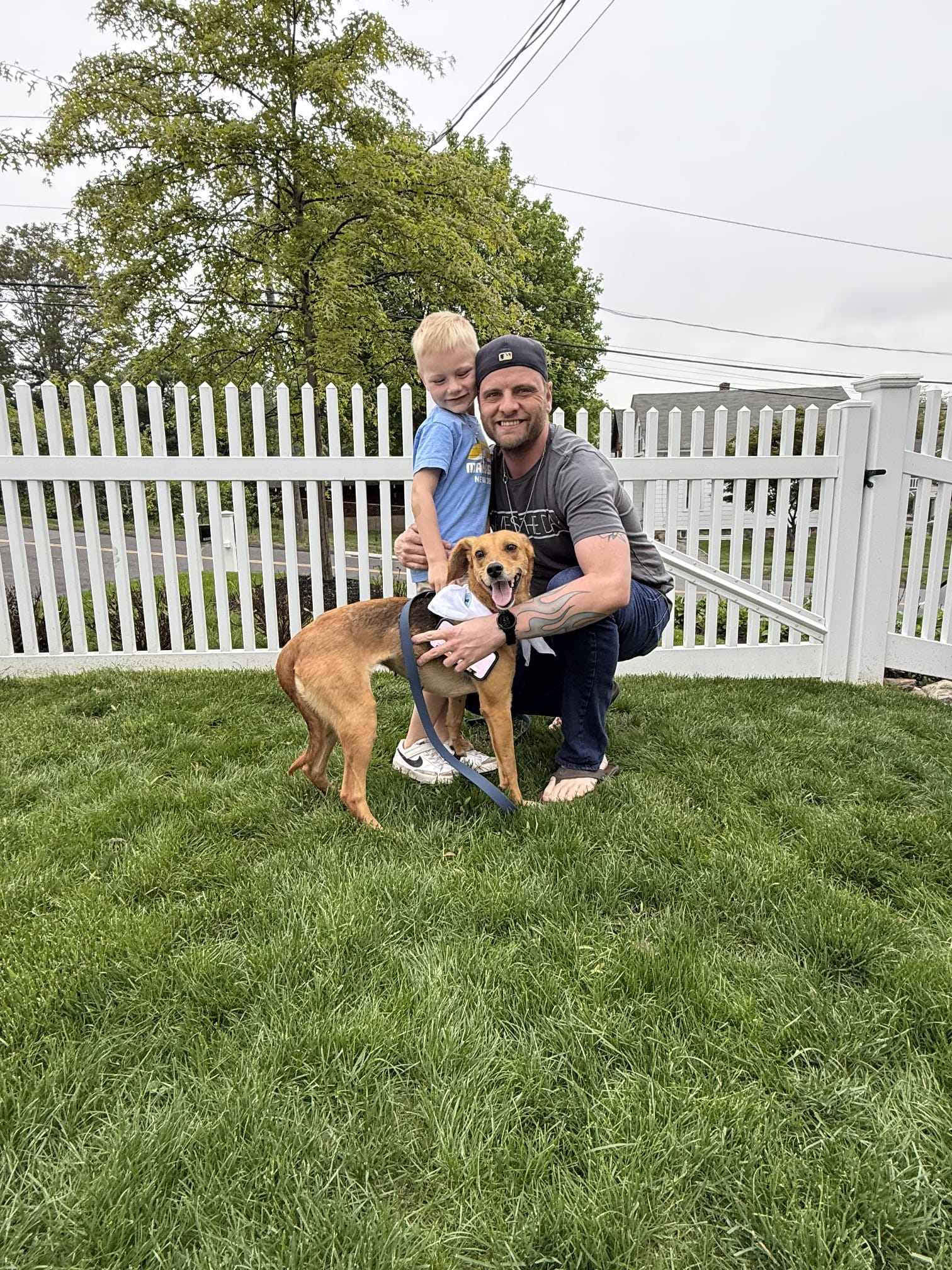 Susie Q! – Hidden Gem Animal Rescue